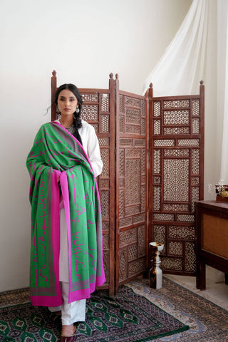 Bol (Speak Your Truth) - Green & Magenta Shawl